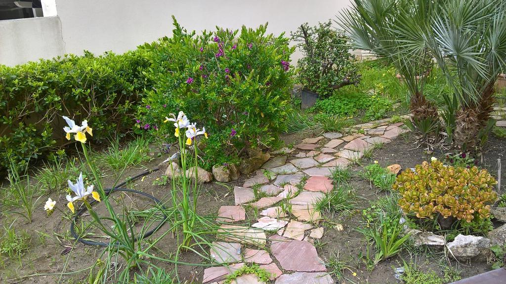 Appartamento Tulipano Alghero Buitenkant foto
