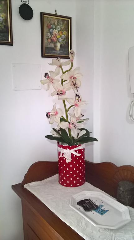Appartamento Tulipano Alghero Buitenkant foto