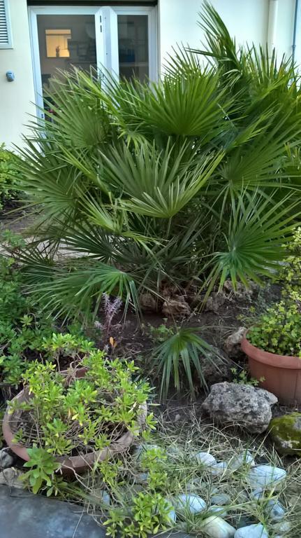 Appartamento Tulipano Alghero Buitenkant foto
